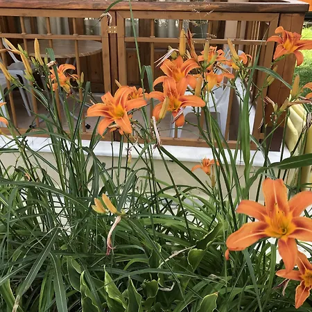 纳尔公寓式酒店